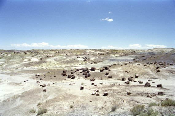 usa0084.jpg