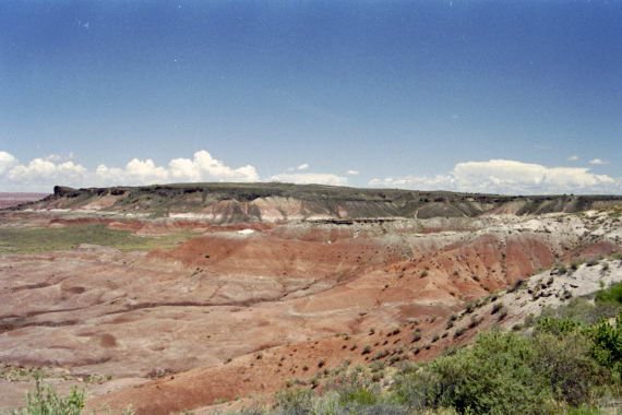 usa0090.jpg