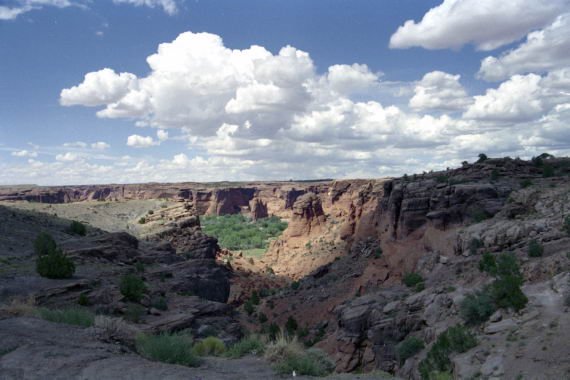usa0094.jpg