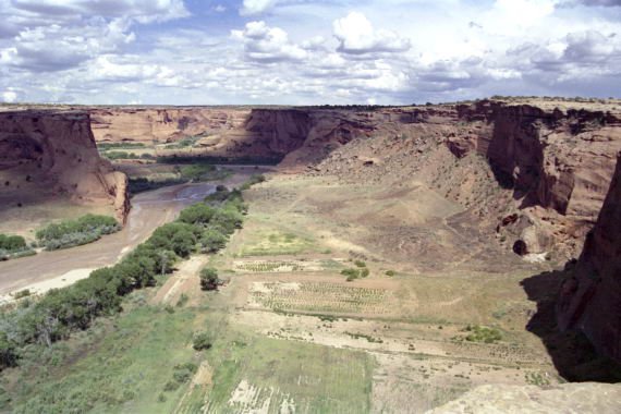 usa0095.jpg