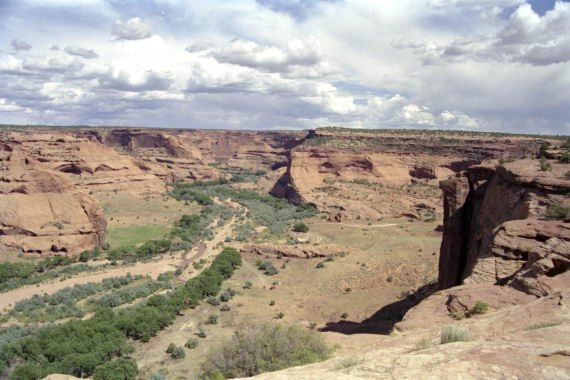 usa0099.jpg