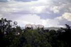 usa0107_small.jpg