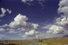 usa0108_small.jpg