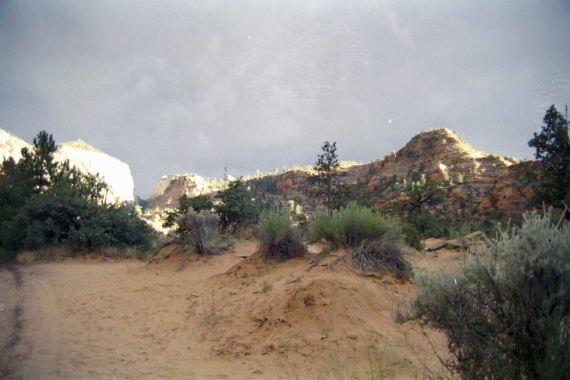 usa0181.jpg
