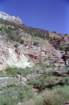 usa0184_small.jpg