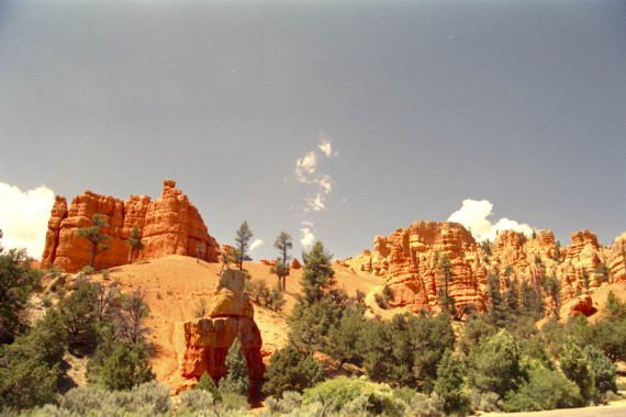 usa0195.jpg