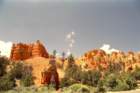 usa0195_small.jpg