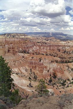 usa0199.jpg