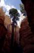 usa0212_small.jpg