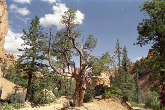 usa0215.jpg