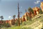 usa0216_small.jpg