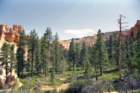usa0217_small.jpg
