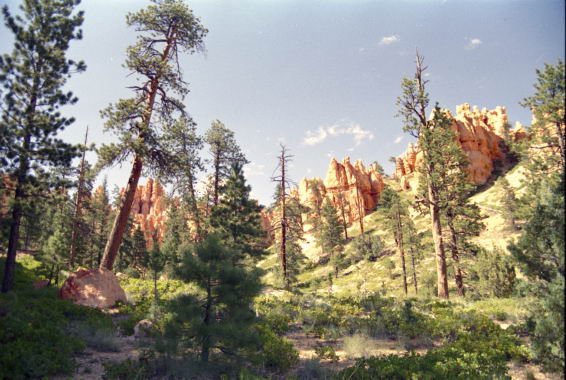 usa0218.jpg
