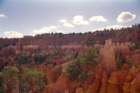 usa0230_small.jpg