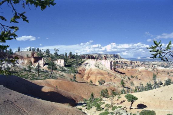 usa0231.jpg