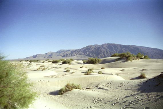 usa0246.jpg