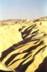 usa0256_small.jpg