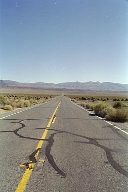 usa0263.jpg