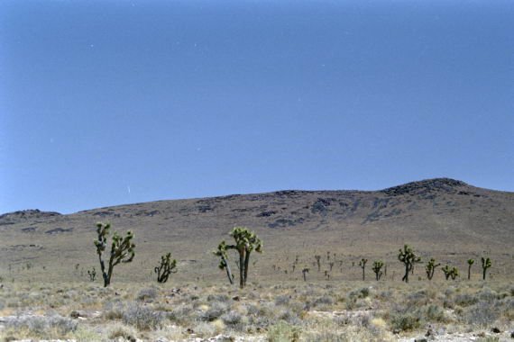 usa0280.jpg