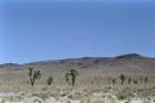 usa0280_small.jpg