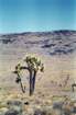 usa0281_small.jpg