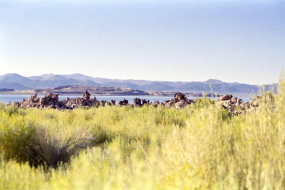 usa0283.jpg