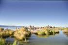 usa0284_small.jpg