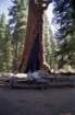 usa0312_small.jpg