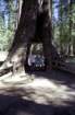 usa0313_small.jpg