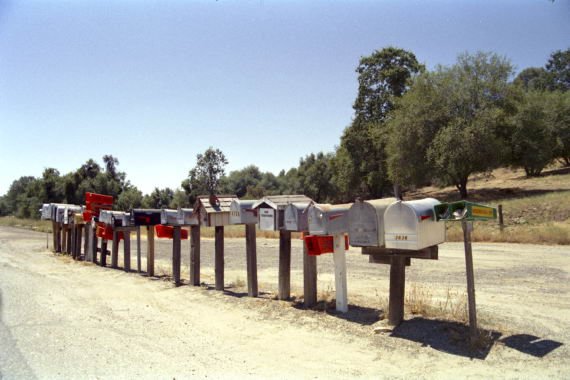 usa0314.jpg