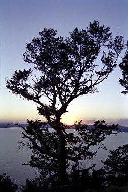 usa0350.jpg