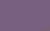 razzi.gif - 30,0 K