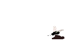 mosca.gif - 9.9 K