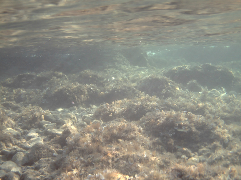 Isola di Zut010