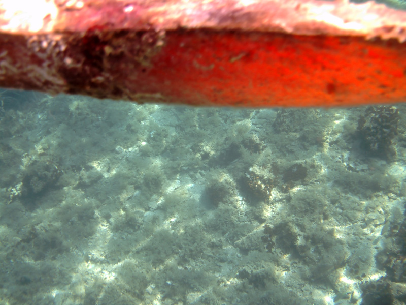Isola di Zut015