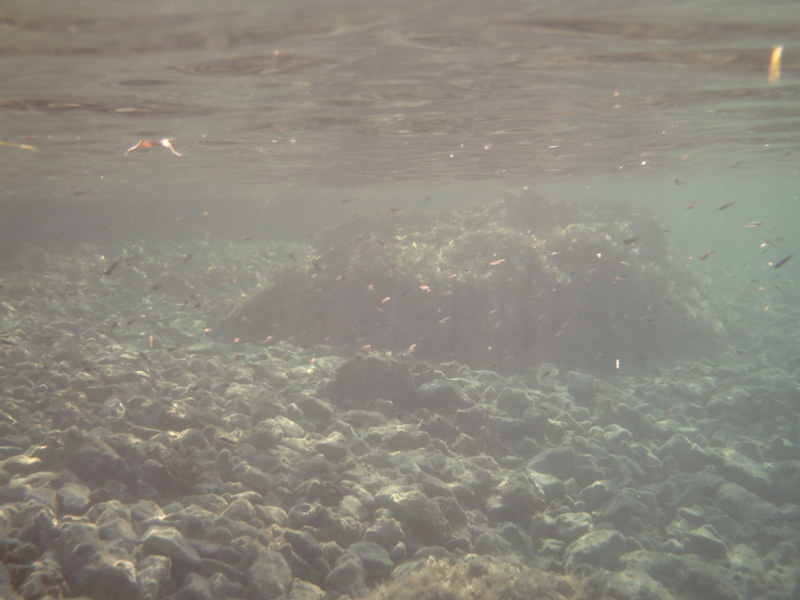 Isola di Zut061