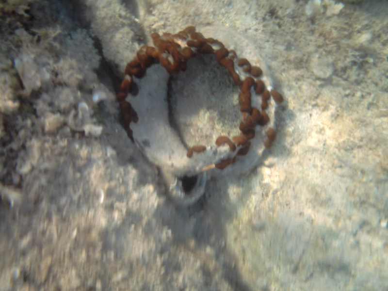 Isola di Zut094