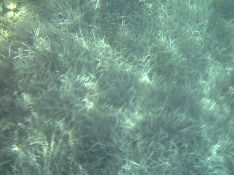 Isola di Zut097