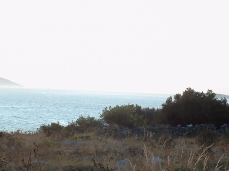Isola di Zut100