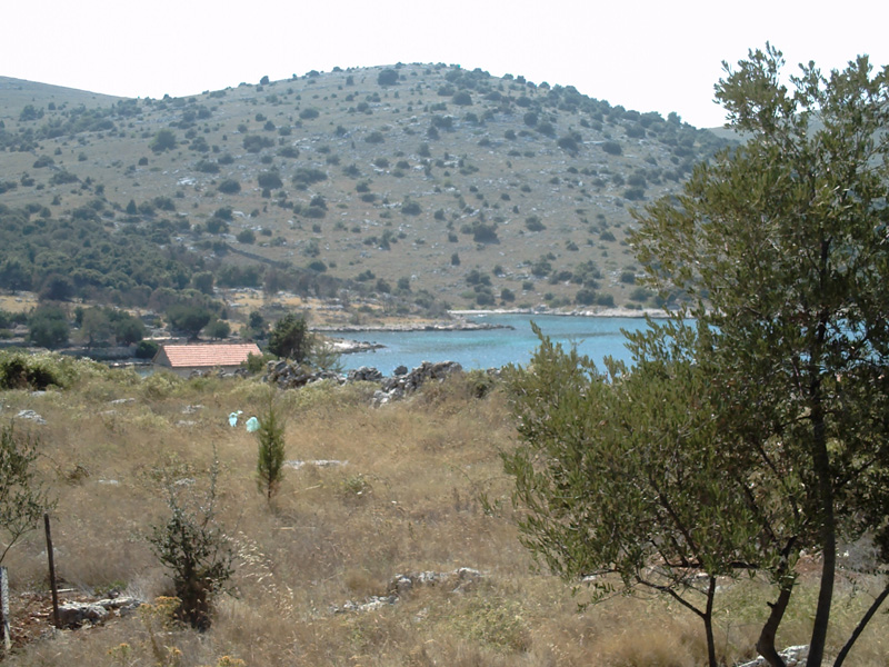 Isola di Zut126