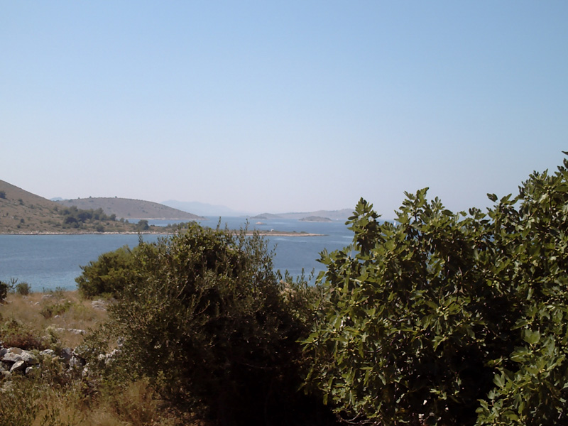 Isola di Zut127