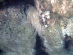 Isola di Zut005