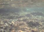 Isola di Zut010