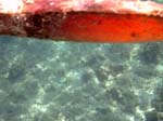 Isola di Zut015