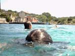 Isola di Zut095