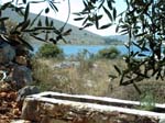 Isola di Zut119