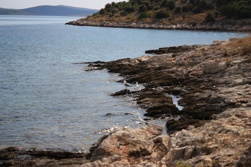 Isola di Zut049