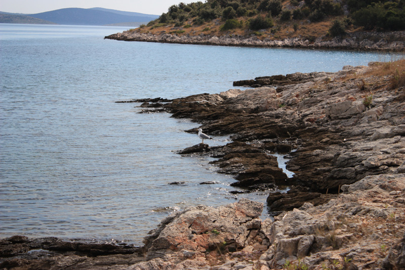 Isola di Zut050
