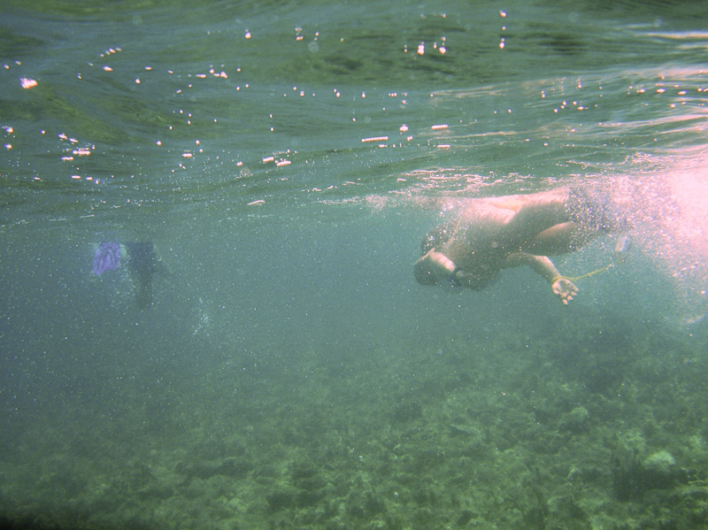Isola di Zut089