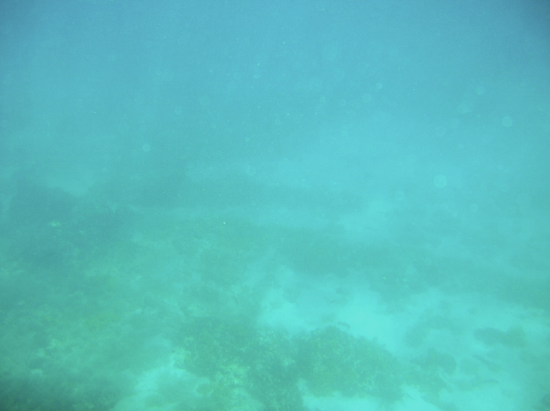 Isola di Zut091